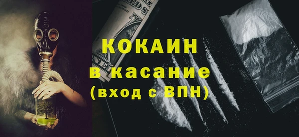 гидра Рославль