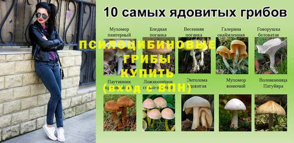 крисы Ростов