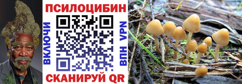 Псилоцибиновые грибы GOLDEN TEACHER  Алексин 